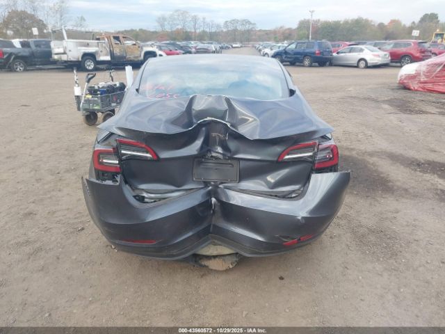 Tesla Model 3 Rear-wheel Drive Image 7